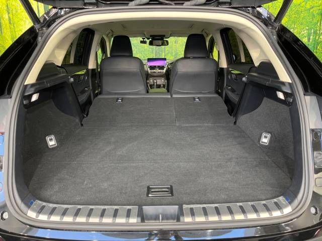Lexus NX 2018-03 19983-10