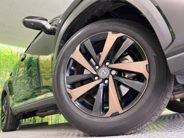 Lexus NX 2018-03 19983-13