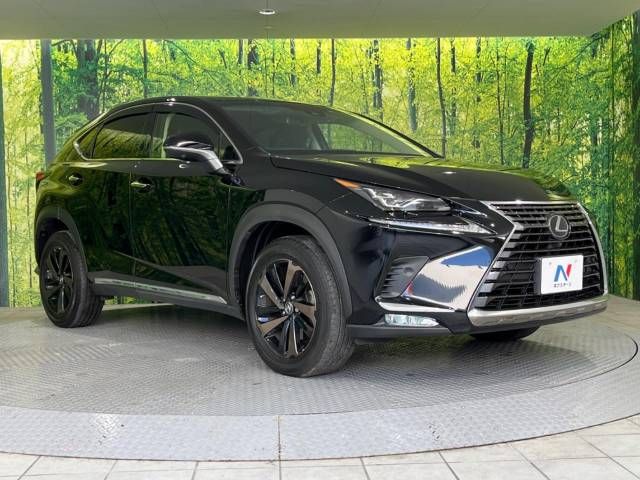 Lexus NX 2018-03 19983-17