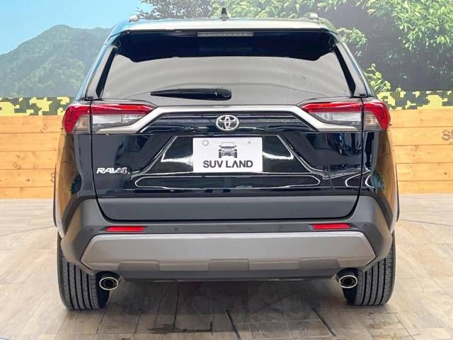 Toyota RAV4 2020-01 19831-16