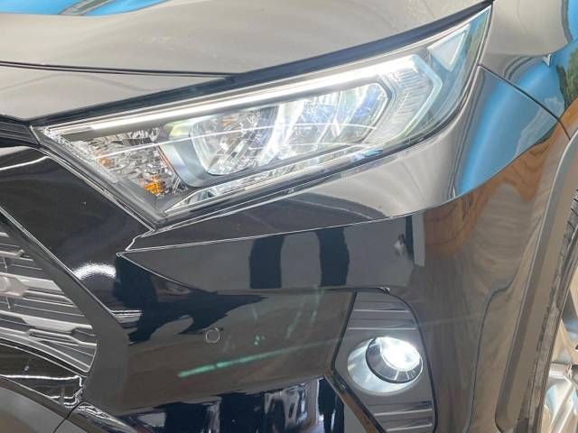 Toyota RAV4 2020-01 19831-13