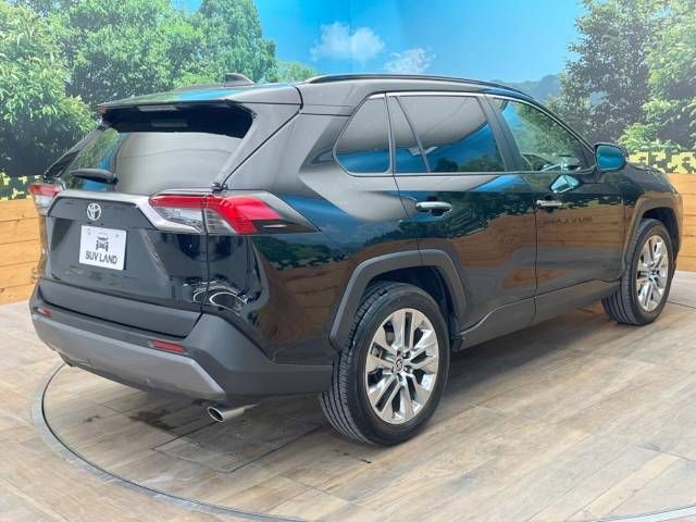 Toyota RAV4 2020-01 19831-18
