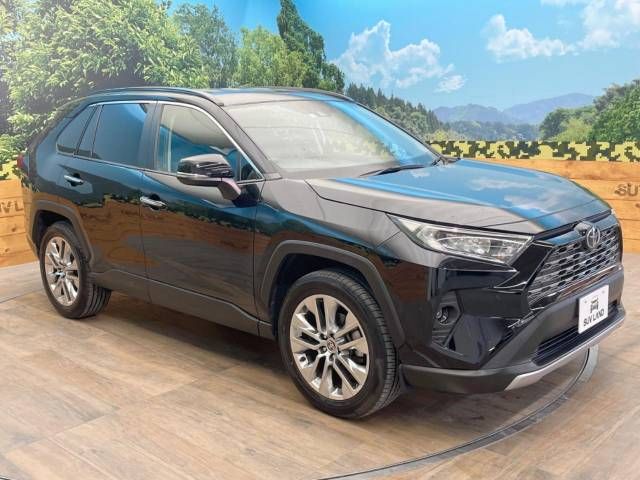 Toyota RAV4 2020-01 19831-17
