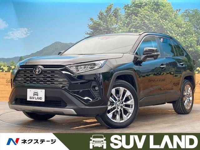Toyota RAV4 2020-01 19831-0