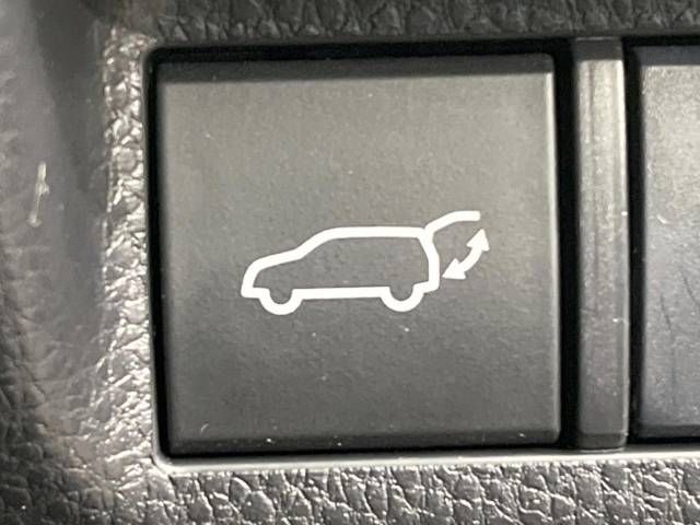 Toyota RAV4 2020-01 19831-6