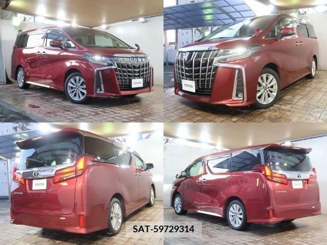 Toyota ALPHARD 2021-11 209220-3