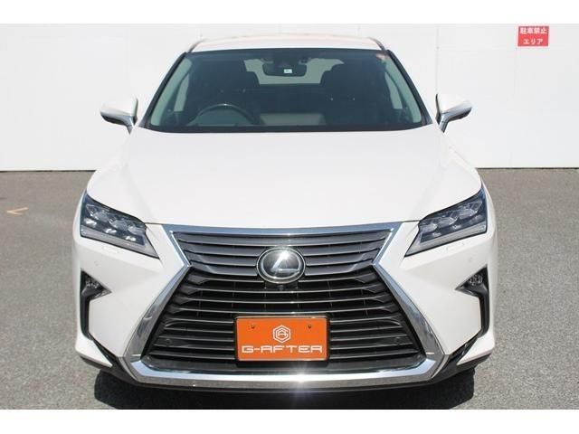 Lexus RX 2016-06 8067-5
