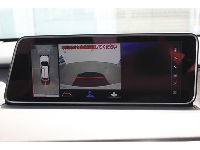 Lexus RX 2016-06 8067-3
