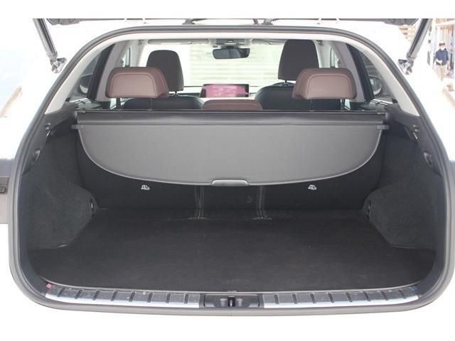 Lexus RX 2016-06 8067-16