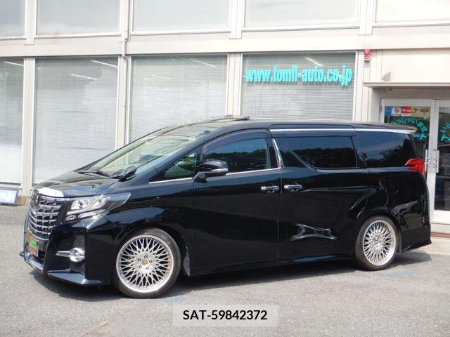 Toyota ALPHARD 2017-11 344519-1