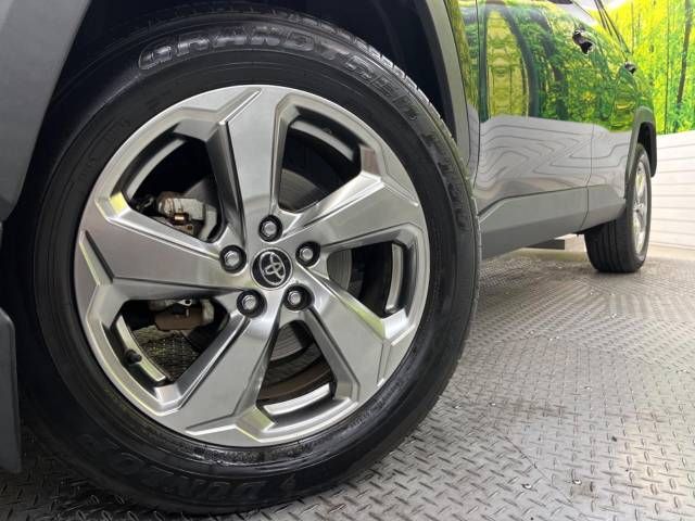 Toyota RAV4 2019-04 20095-13
