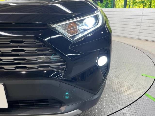 Toyota RAV4 2019-04 20095-12
