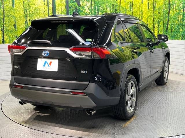 Toyota RAV4 2019-04 20095-17