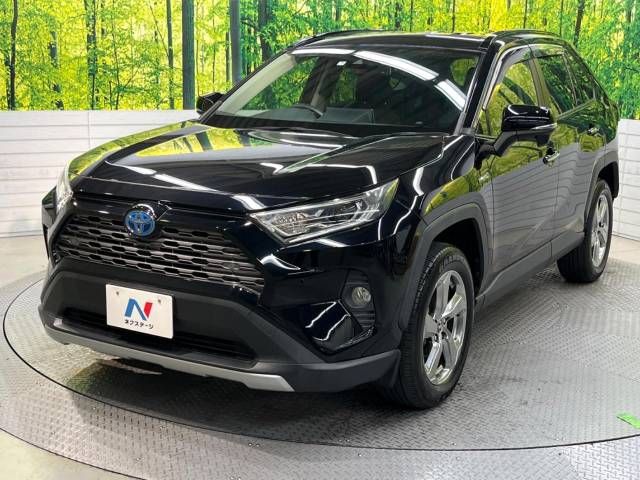 Toyota RAV4 2019-04 20095-16