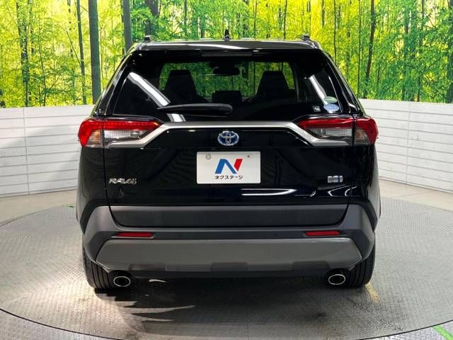 Toyota RAV4 2019-04 20095-15