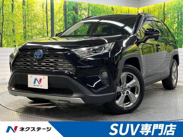 Toyota RAV4 2019-04 20095-0