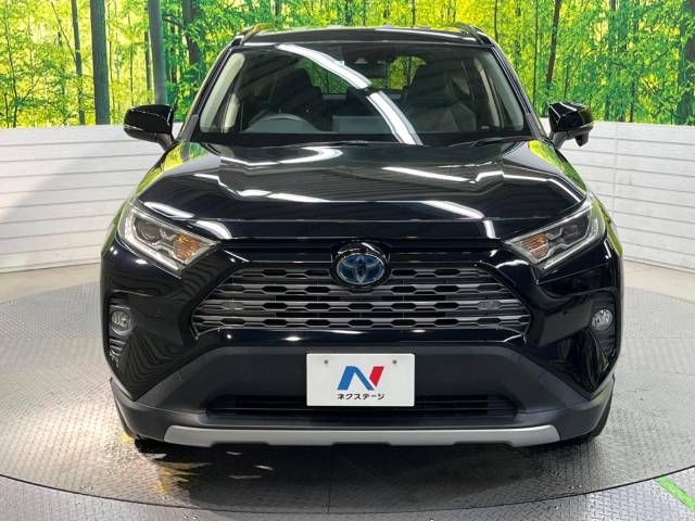 Toyota RAV4 2019-04 20095-14