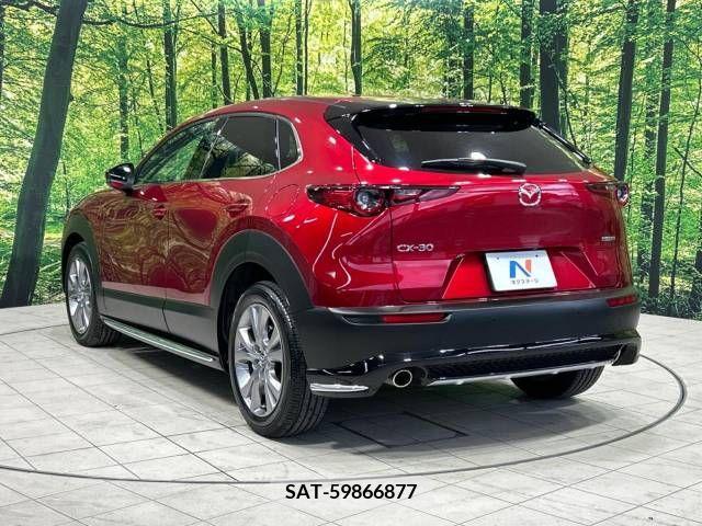 Mazda CX-30 2021-11 337483-17