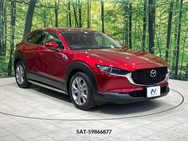 Mazda CX-30 2021-11 337483-16