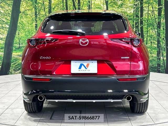 Mazda CX-30 2021-11 337483-15