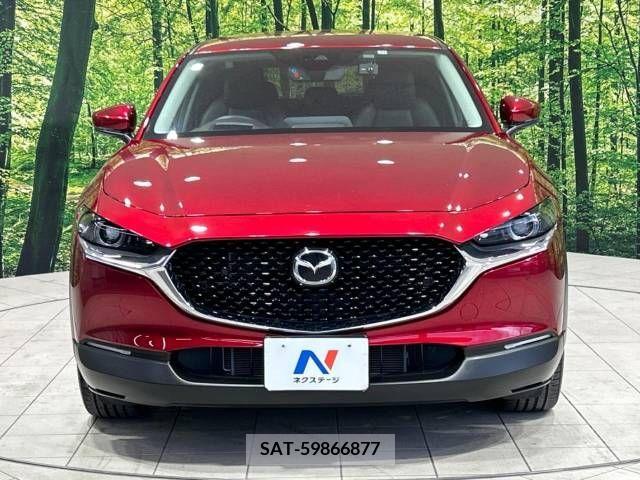 Mazda CX-30 2021-11 337483-14