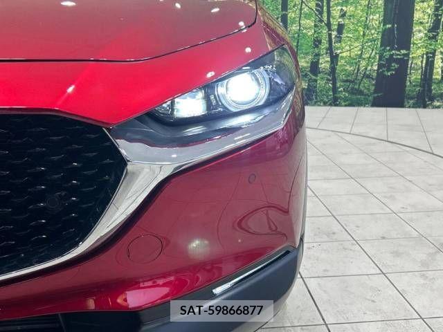 Mazda CX-30 2021-11 337483-12