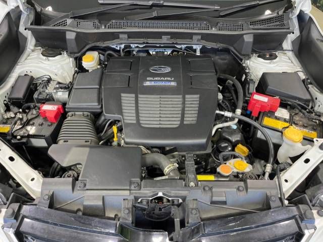 Subaru FORESTER 2021-06 196334-18