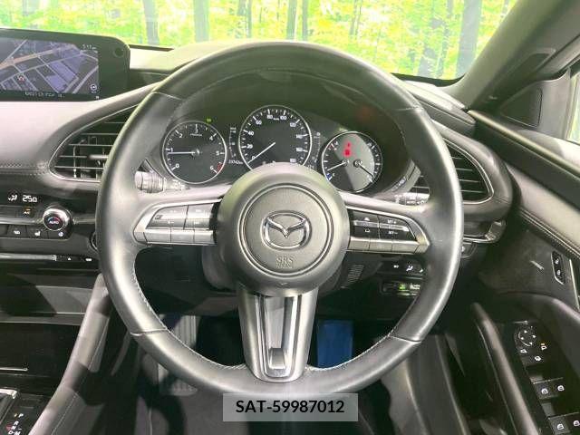 Mazda MAZDA3 2019-08 301053-11