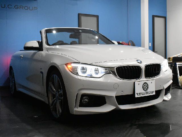 Bmw 4 SERIES 2016-01 16174-25