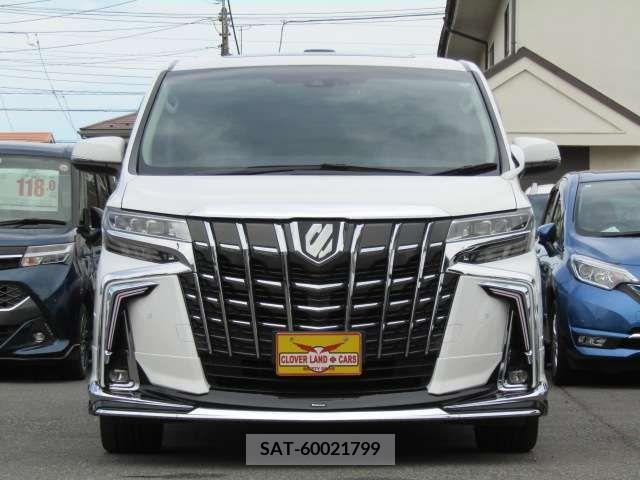 Toyota ALPHARD 2019-02 382813-5