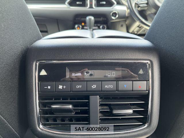 Mazda CX-8 2018-08 201694-17