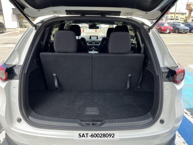 Mazda CX-8 2018-08 201694-20