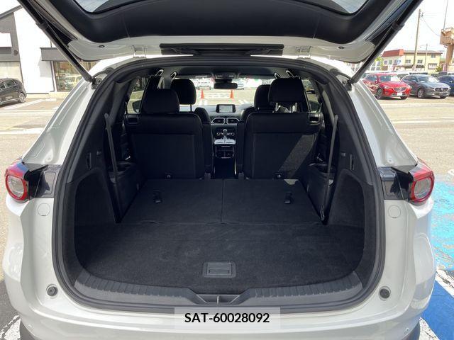 Mazda CX-8 2018-08 201694-21