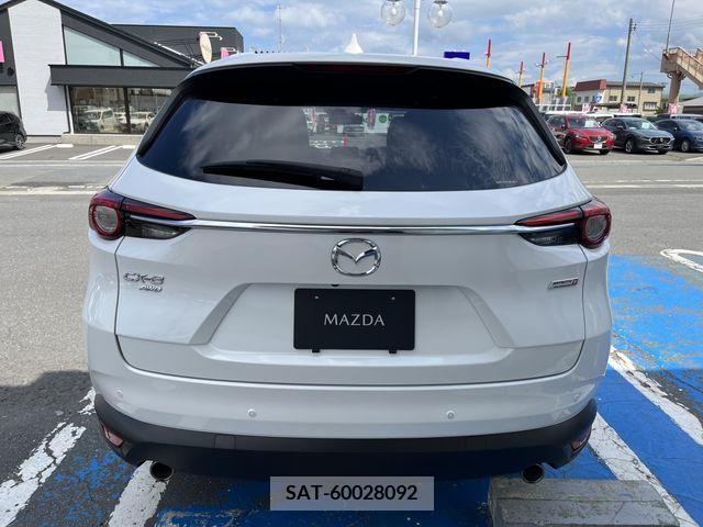 Mazda CX-8 2018-08 201694-23
