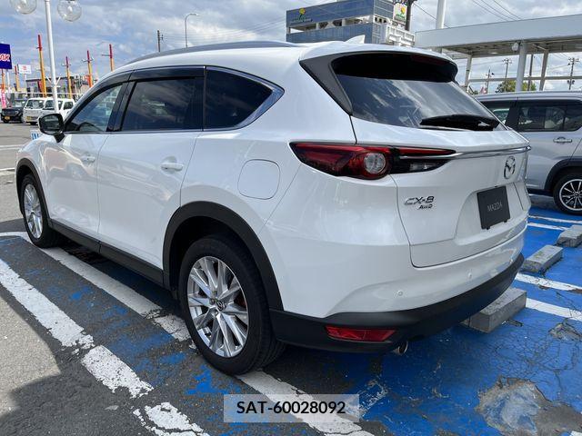 Mazda CX-8 2018-08 201694-25