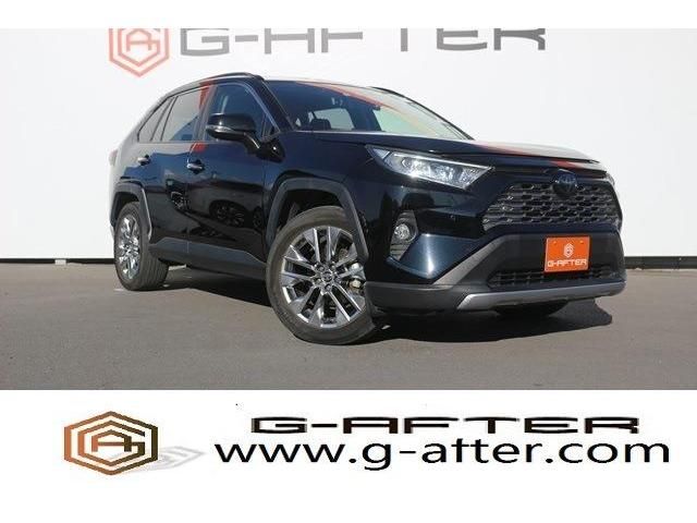 Toyota RAV4 2019-07 186465-0