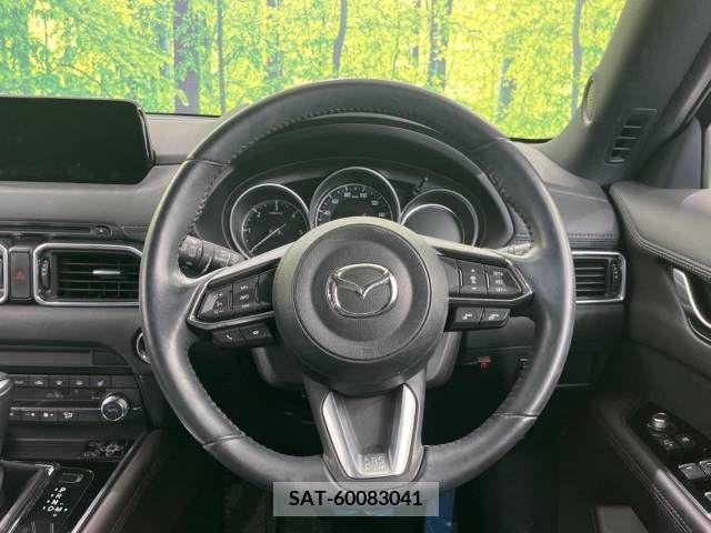 Mazda CX-8 2019-08 390289-11