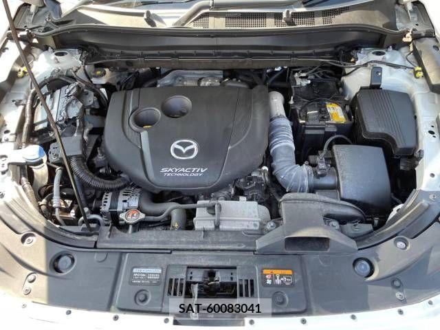 Mazda CX-8 2019-08 390289-18