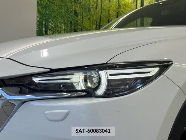 Mazda CX-8 2019-08 390289-12