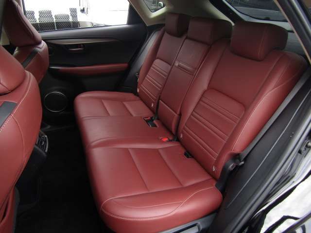 Lexus NX 2015-09 11716-9