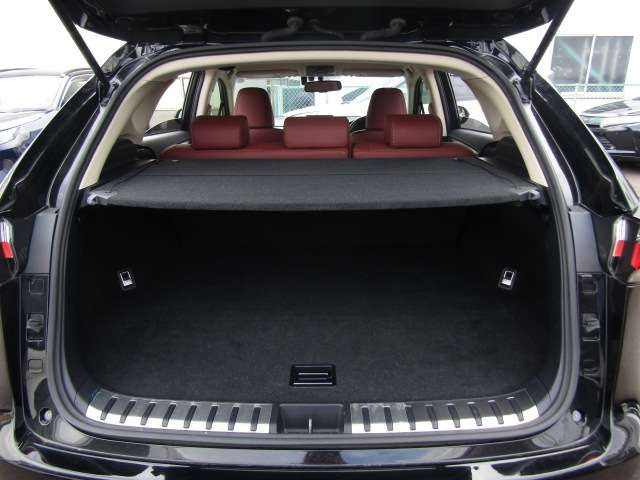 Lexus NX 2015-09 11716-18