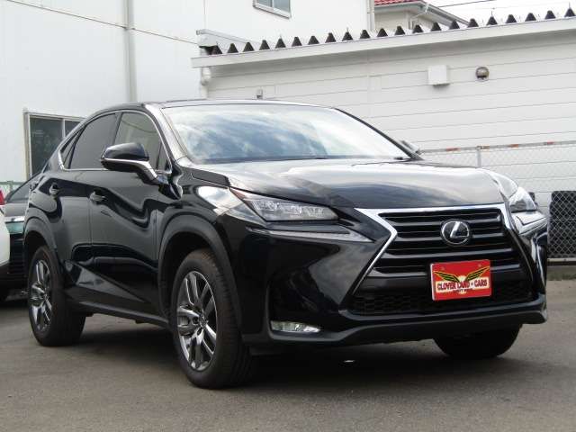 Lexus NX 2015-09 11716-2