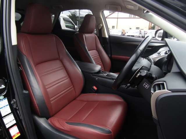 Lexus NX 2015-09 11716-8