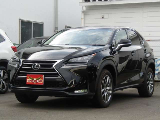 Lexus NX 2015-09 11716-1
