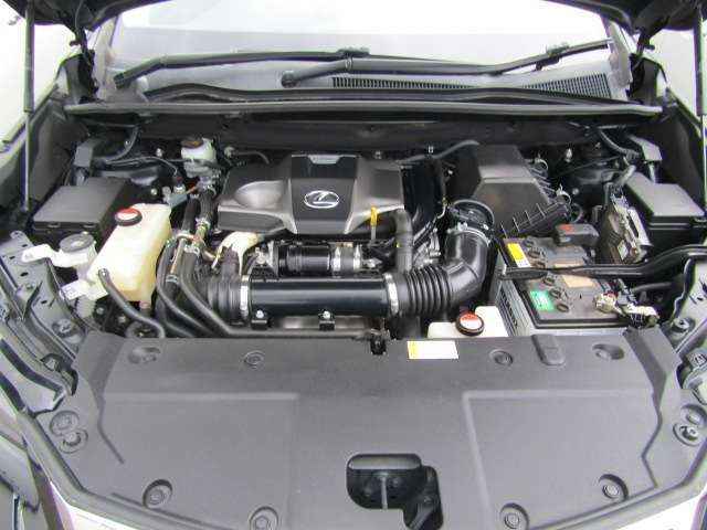 Lexus NX 2015-09 11716-19