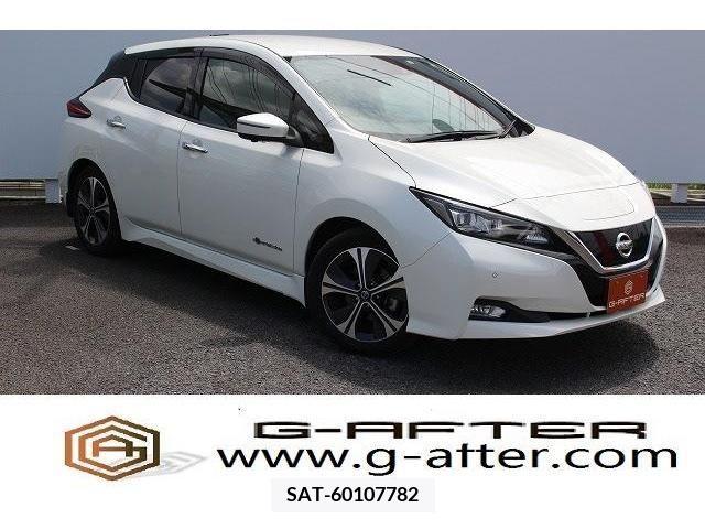 Nissan LEAF 2019-08 297893-0