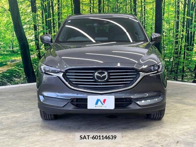 Mazda CX-8 2019-04 308570-16