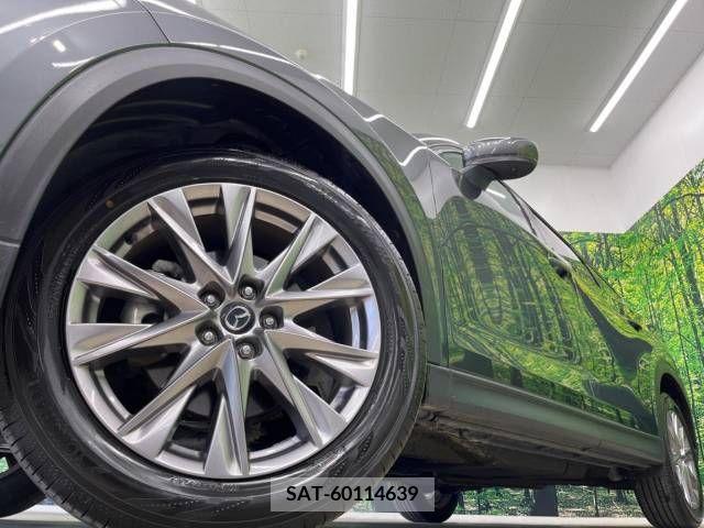 Mazda CX-8 2019-04 308570-15