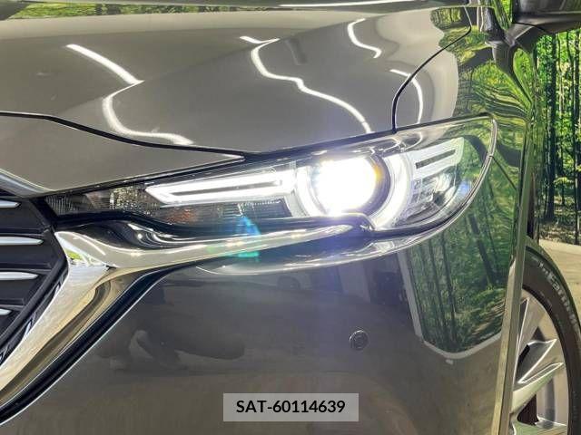 Mazda CX-8 2019-04 308570-14