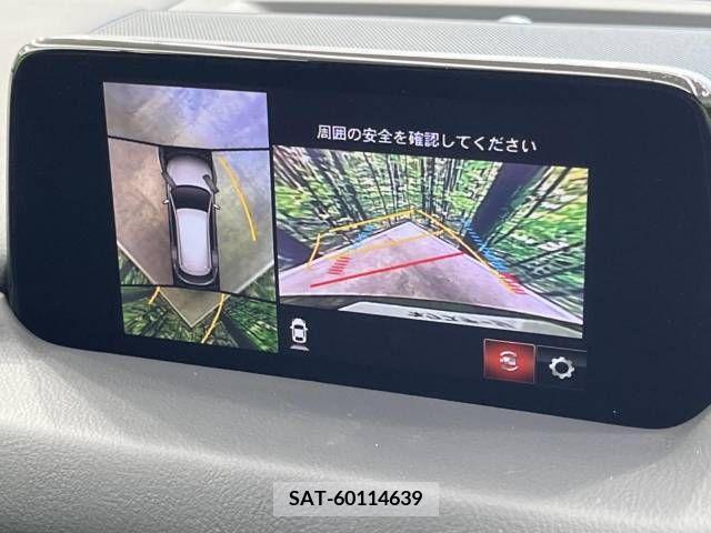 Mazda CX-8 2019-04 308570-3